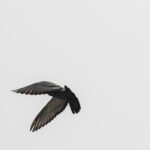 [Elsewhere] (루시드폴)Lucid Fall