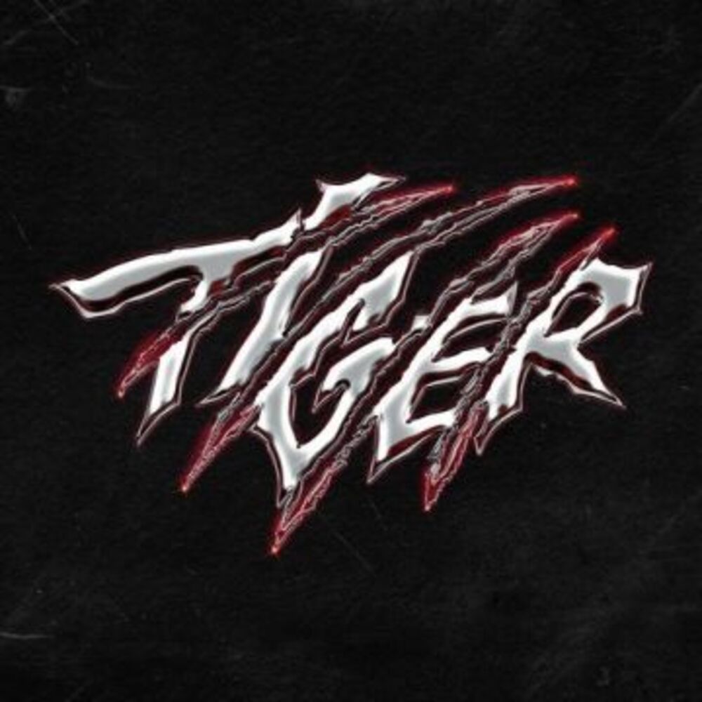 [THE BOYZ Special "Tiger"] 더보이즈 (THE BOYZ) album cover