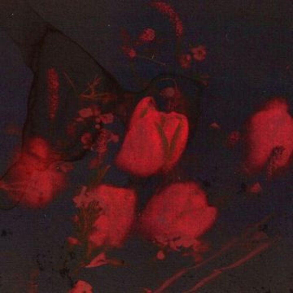 [Dry Flower] 김필 (KIM FEEL)