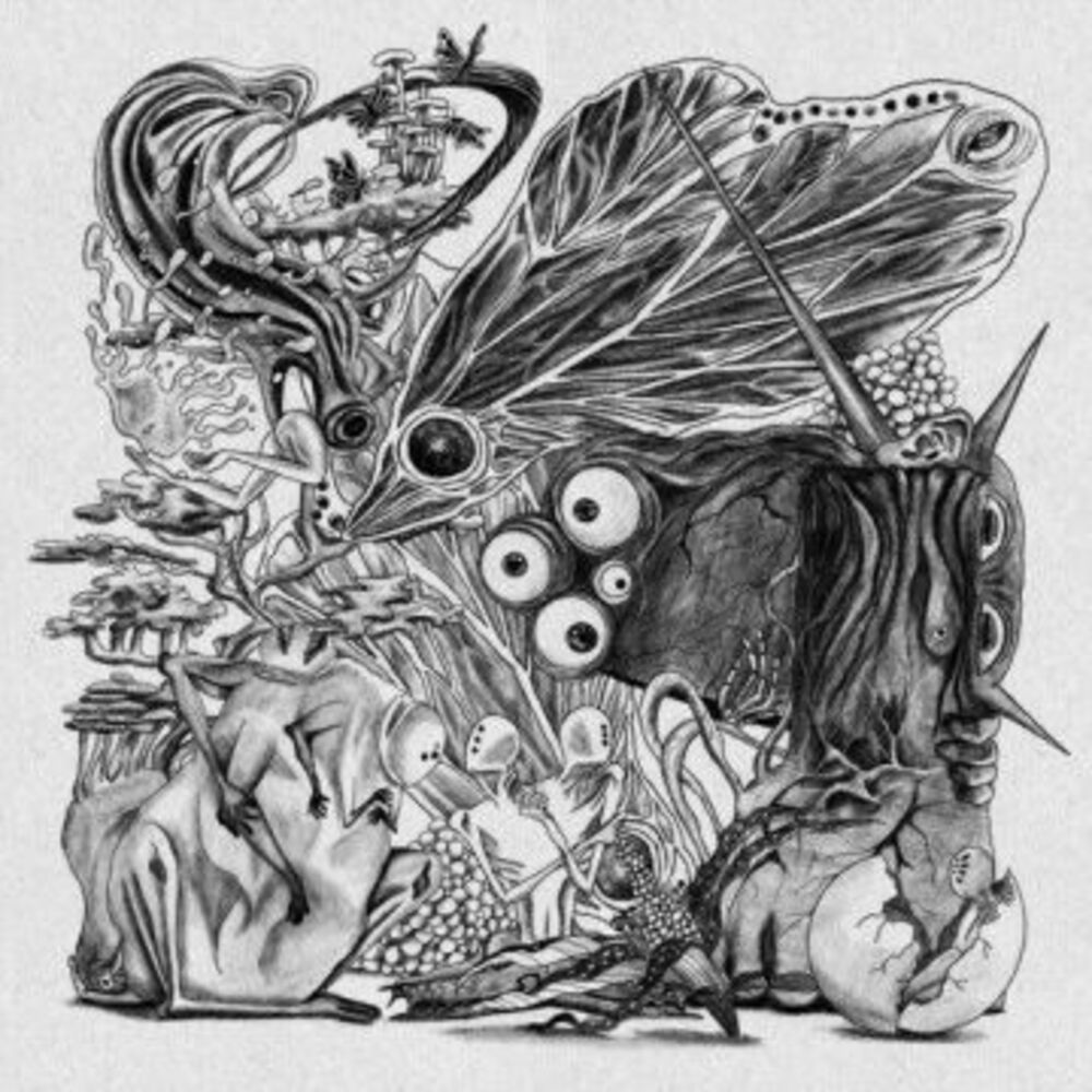  EMERGENCE (우화)-THE SOLUTIONS