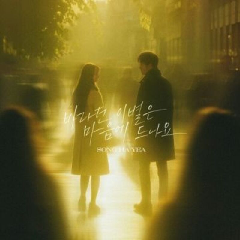 바라던 이별은 마음에 드나요-song ha yea