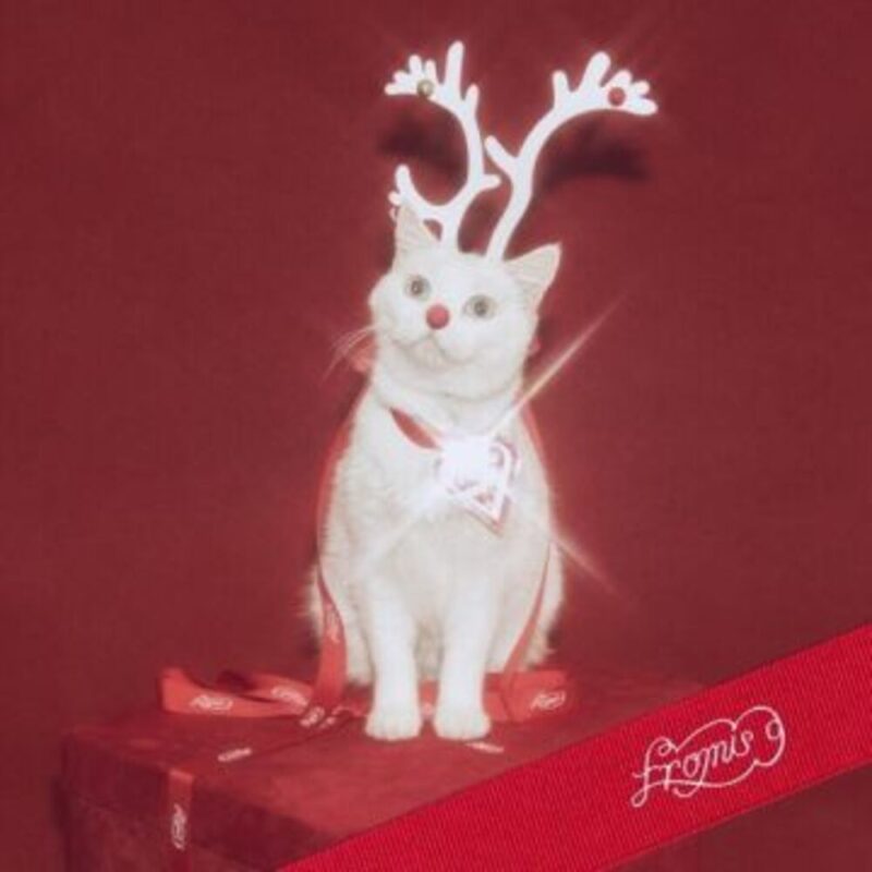 [하얀 그리움] 프로미스나인 ( fromis_9)