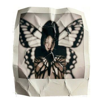 ily - Fairy ALBUM COVER