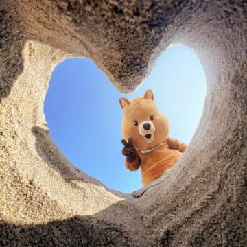 summertime - 네이비쿼카 (NavyQuokka) ALBUM COVER