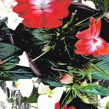 봉숭아꽃 - 노아주다 (noahjooda), hu57la ALBUM COVER
