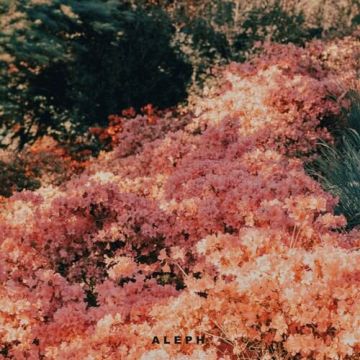 역시 이렇게 될 줄 알았지 - 알레프 (ALEPH) ALBUM COVER